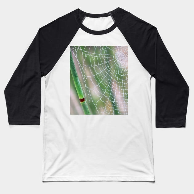 Spiderweb Baseball T-Shirt by mariola5